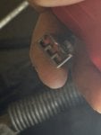 IMG_0175.jpeg